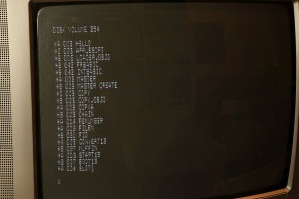 Apple II 80-Zeichen-Karte