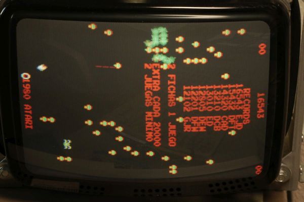 Centipede